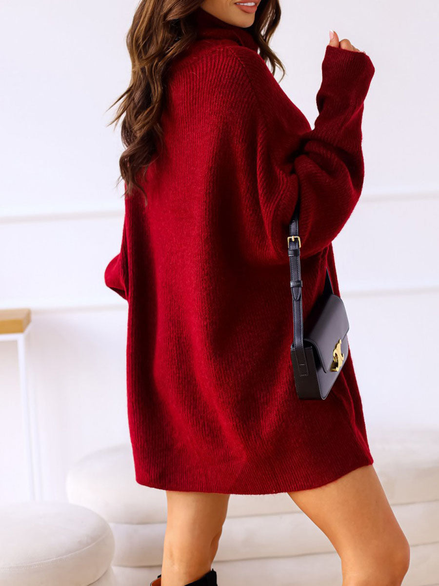 Veleaee Solid Color Turtleneck Knit Sweater(11 colors)