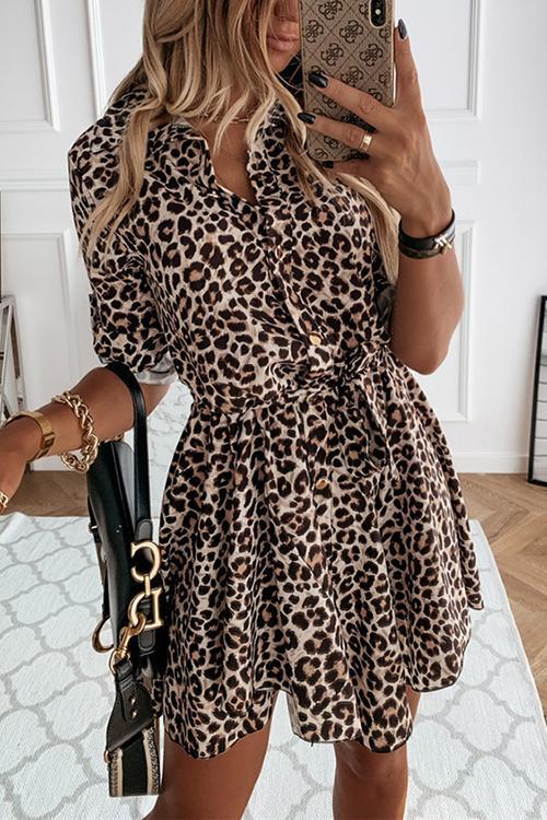 Veleaee Animal Print Belted Mini Dress