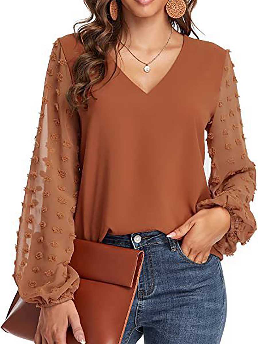 Veleaee V-Neck Chiffon Long Sleeve Top