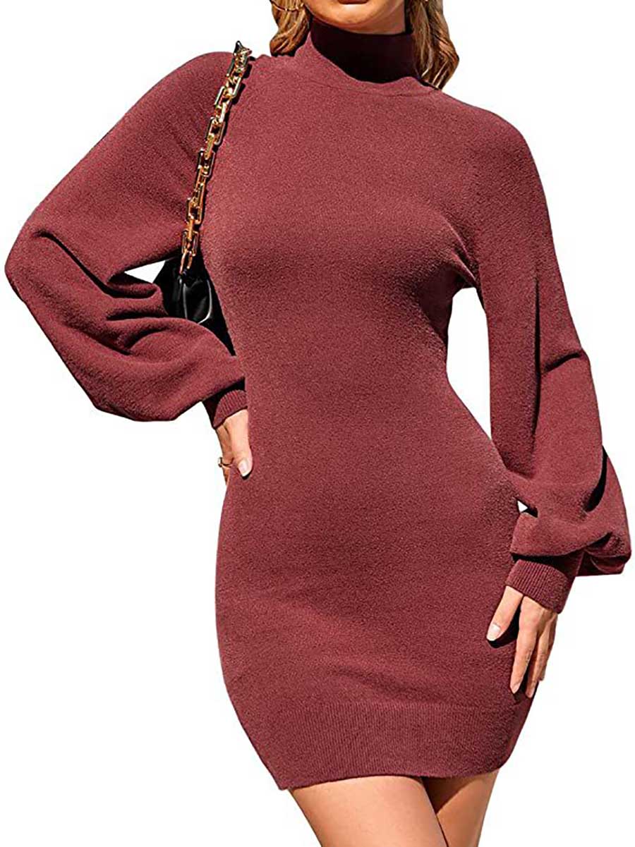 Veleaee Turtleneck Knit Sweater Dress